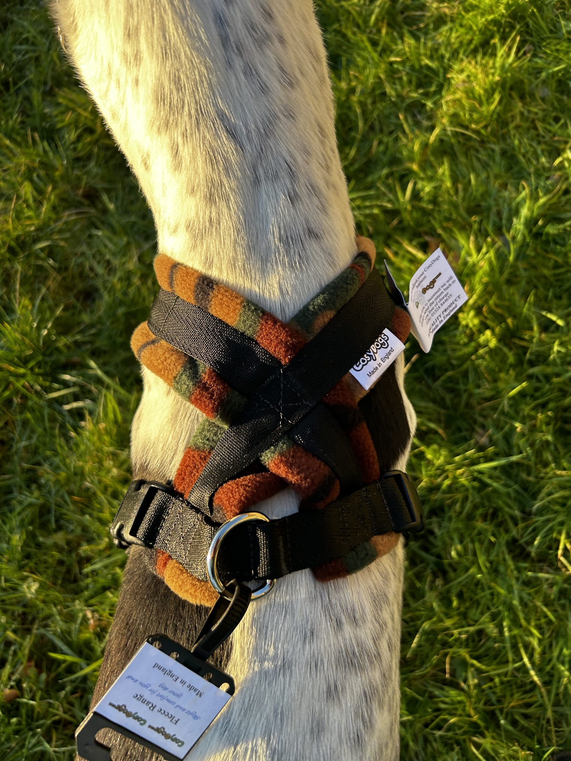 Dog Harness CosyDogs - Image 35