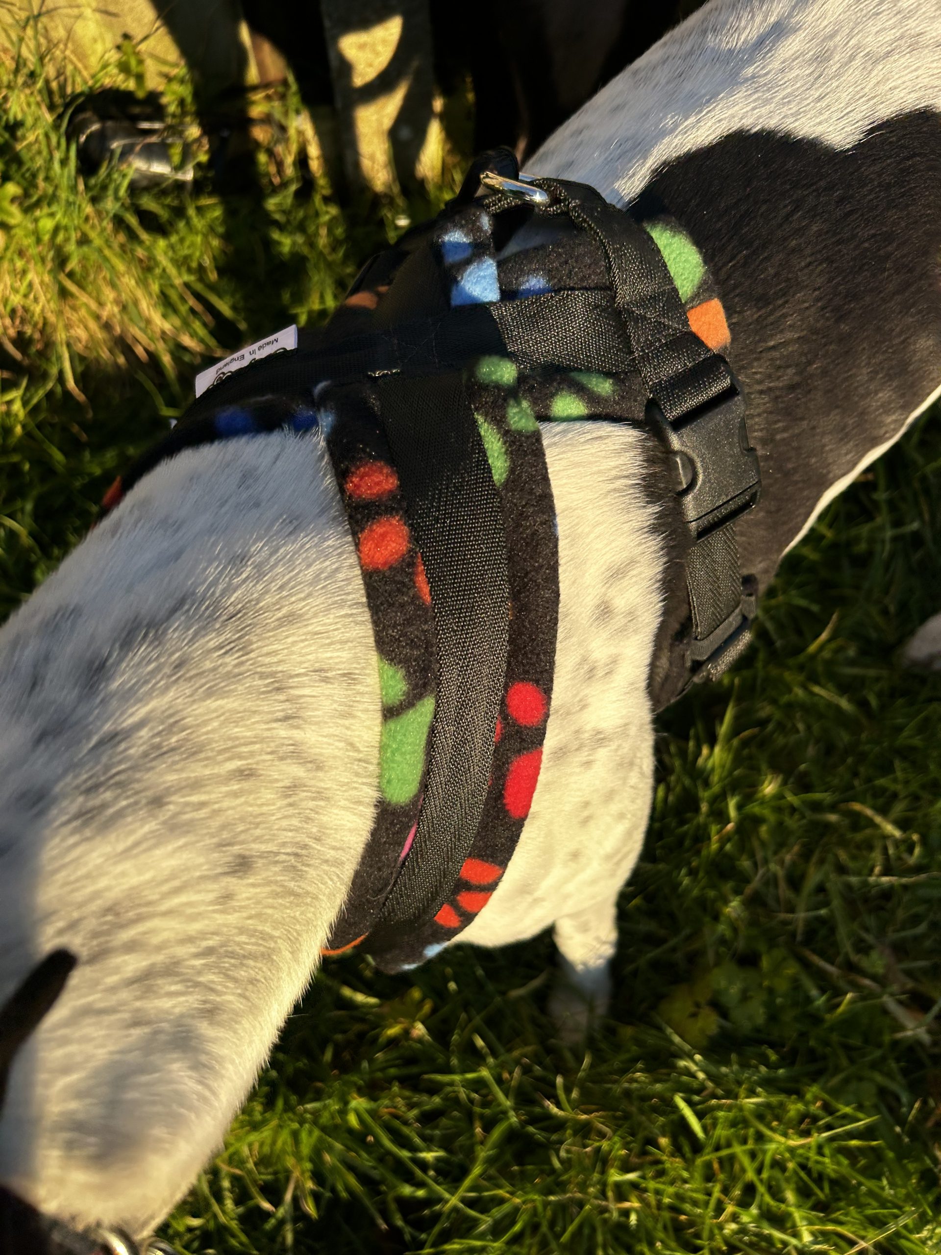Dog Harness CosyDogs - Image 31