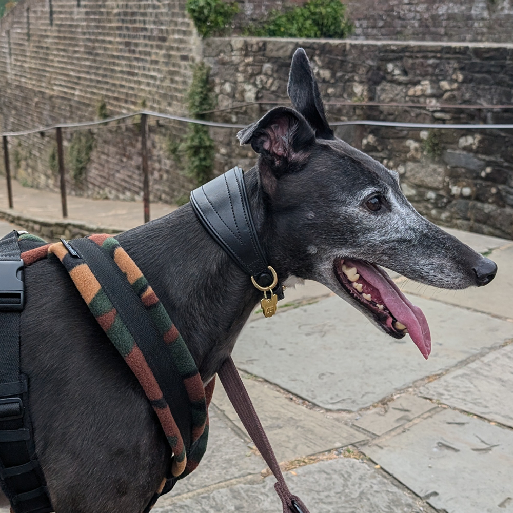 Dog Harness CosyDogs - Image 4