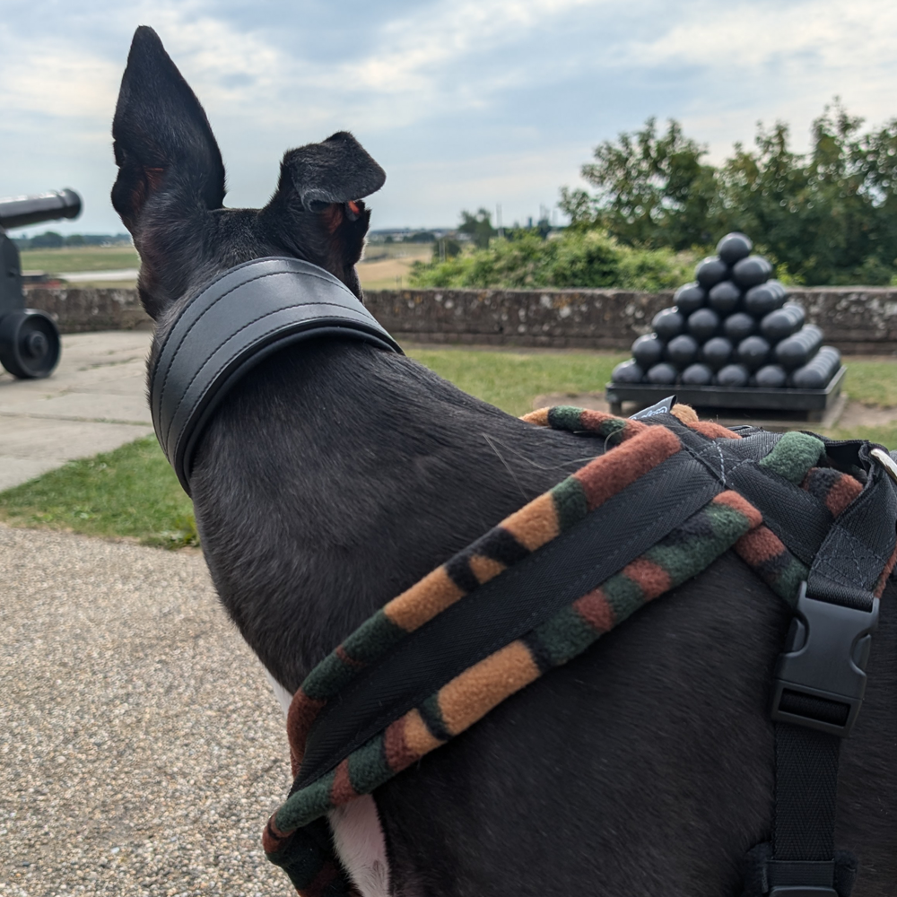 Dog Harness CosyDogs - Image 10