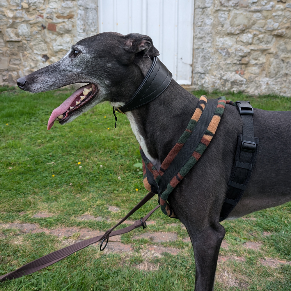 Dog Harness CosyDogs - Image 34