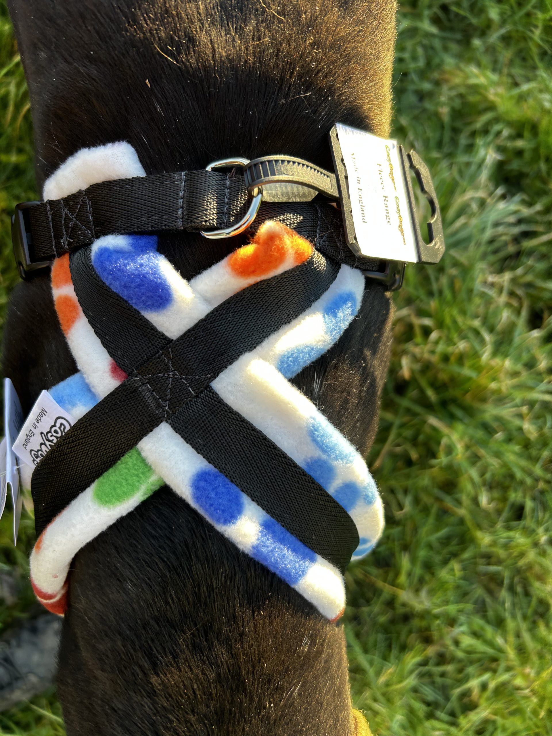 Dog Harness CosyDogs - Image 30