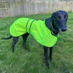 Raincoat Yellow 2