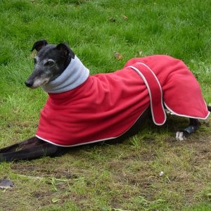 Polo Greyhound Fleece by Cosipet