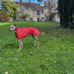 Quilted Anorak Coat Jacket by Cosipet