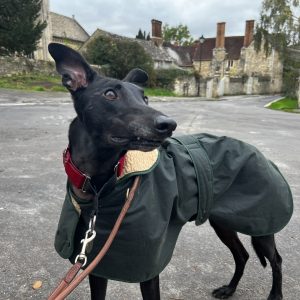 Hunter wax Coat
