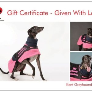 Charity Fundraising Gift Certificates