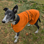 Fleece PJs Or Coat Orange and Black