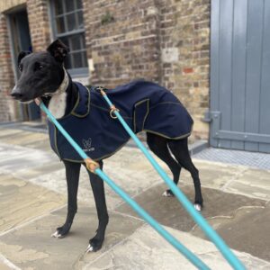 Greyhound Softshell Coat Digby & Fox