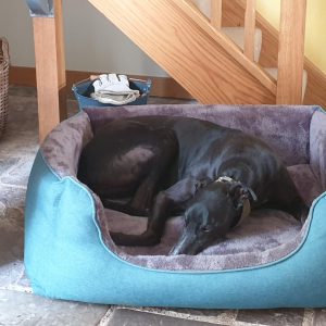 Ultima Winter Bed