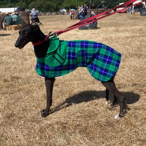 Tartan Jackets For Greyhounds