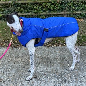 Sports Luxe Winter Coat By Danish Design