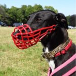 redmuzzle