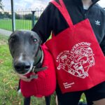 Tote Bag 1