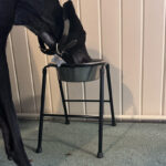 High Feeder 1