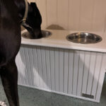 Lords and Labradors 4