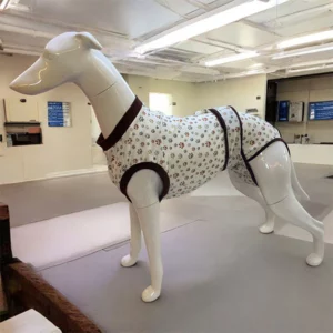 Sighthound Surgery Recovery Suit By DryDogs