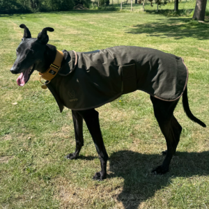 Digby and Fox Wax Coats