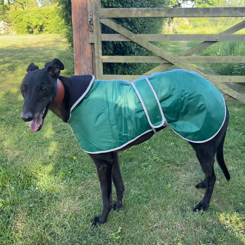 Greyhound Winter Coats With KGR Logo - Image 9