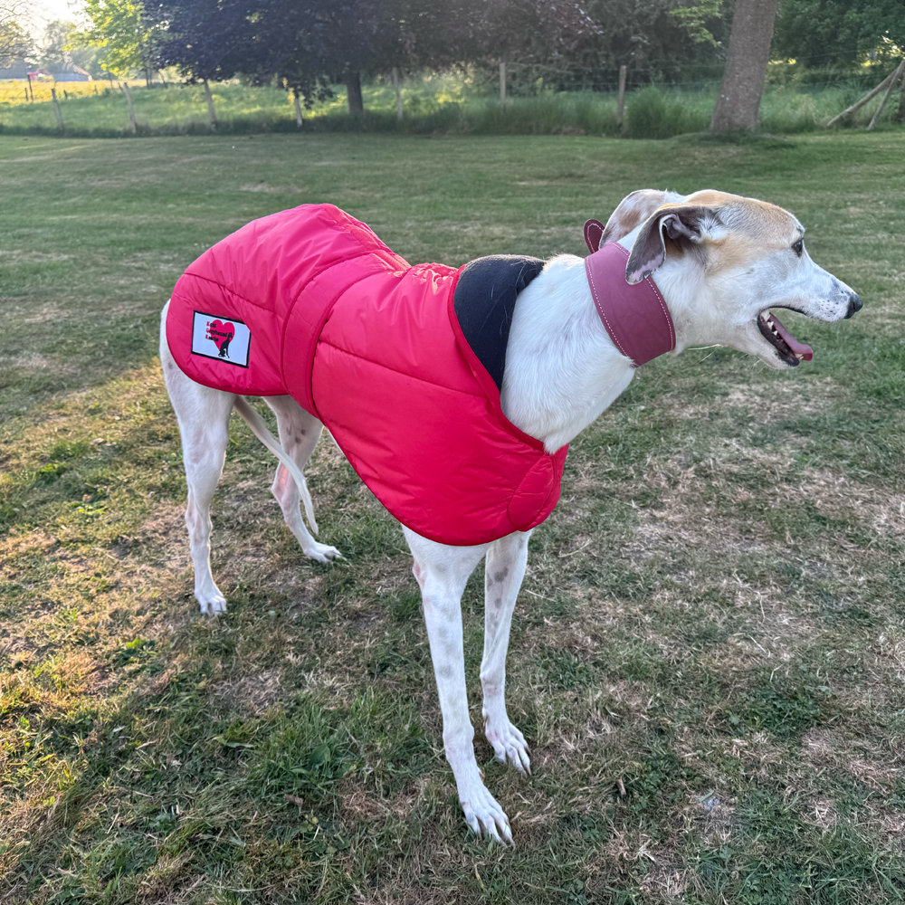 Greyhound Winter Coats With KGR Logo - Image 11