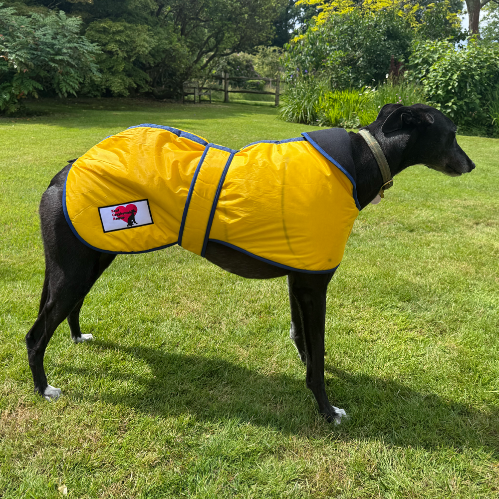 Greyhound Winter Coats With KGR Logo - Image 8
