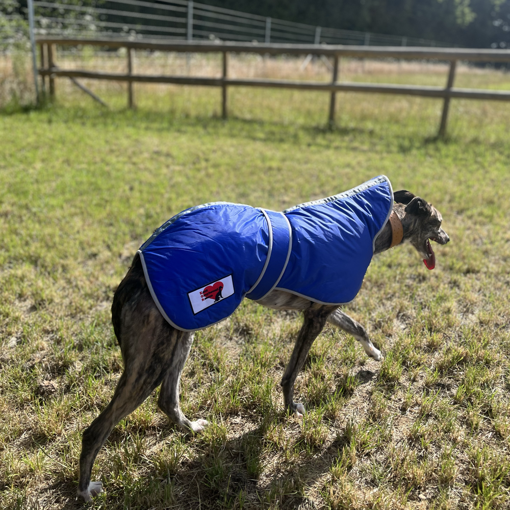 Greyhound Winter Coats With KGR Logo - Image 12