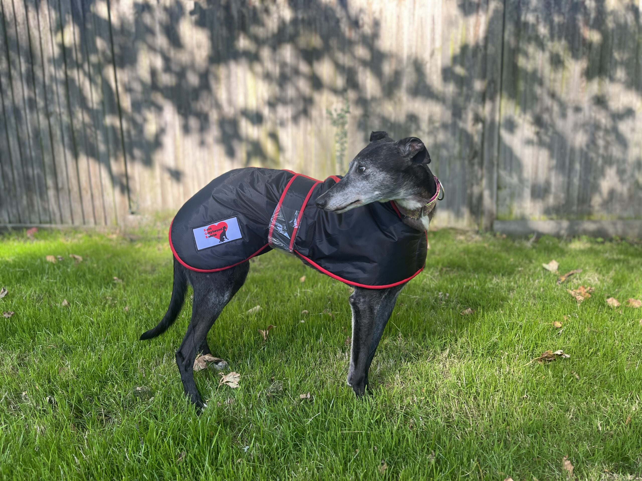 Greyhound Winter Coats With KGR Logo - Image 5