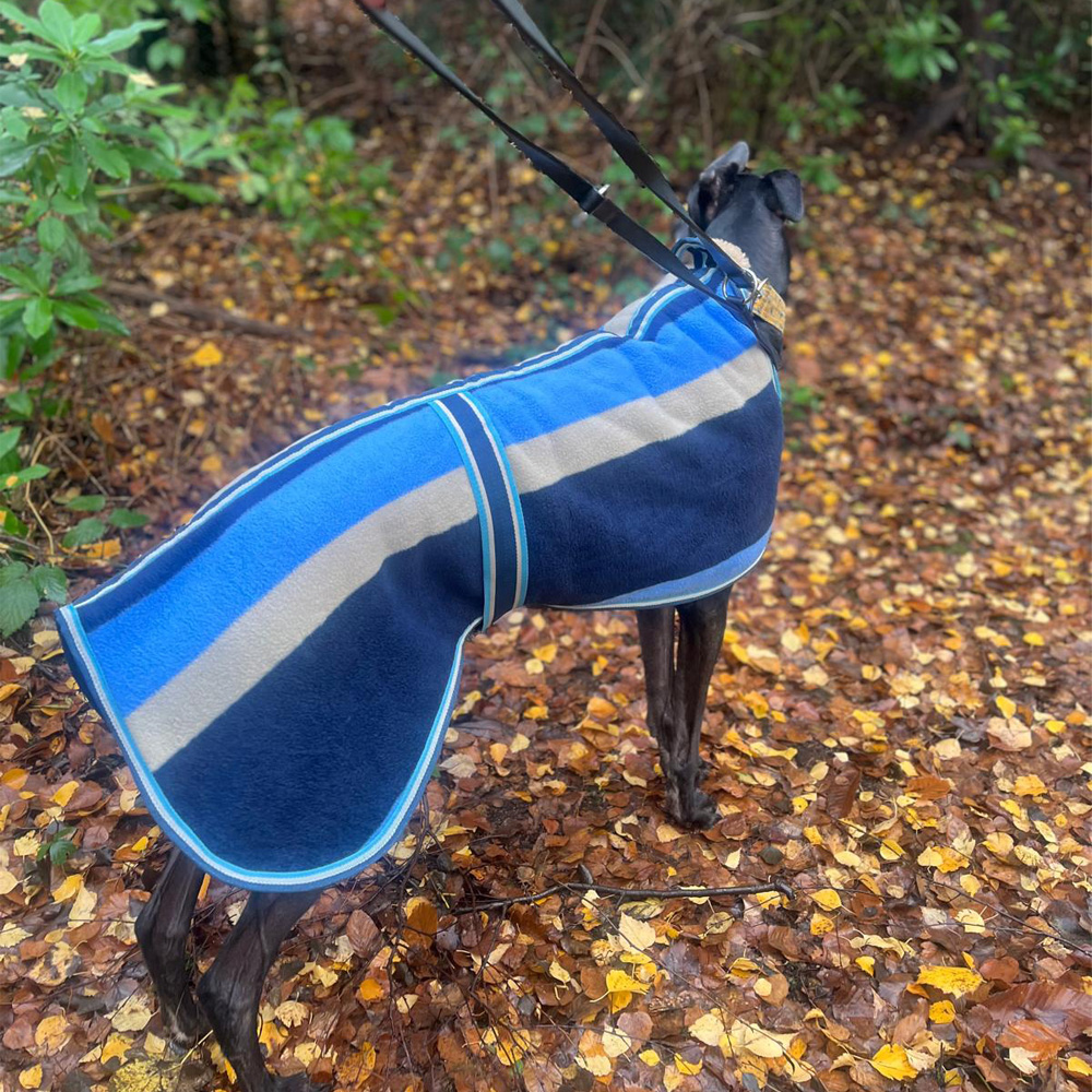 Ascot Rug Sighthound Coat - Image 2