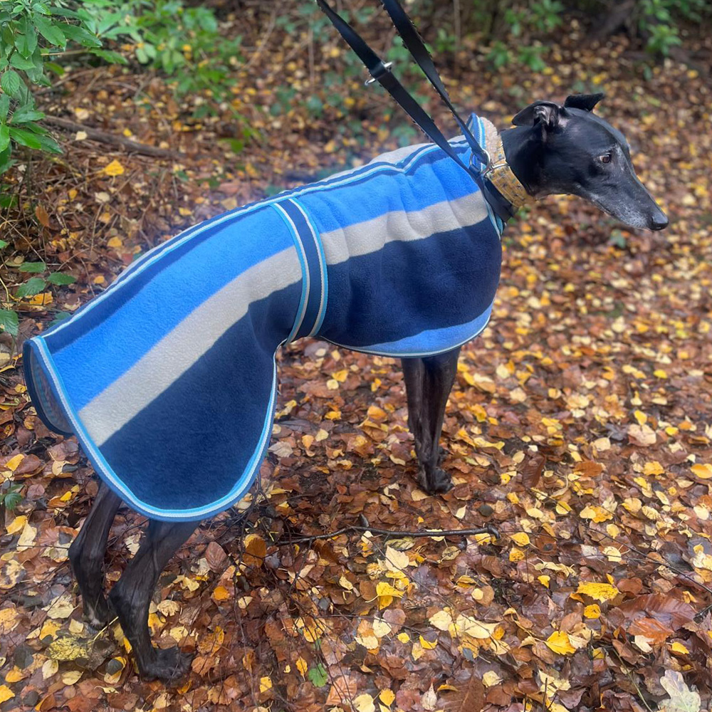 Ascot Rug Sighthound Coat - Image 3