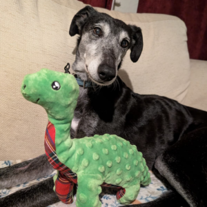 Cuddle Lottie Loch Ness Monster by Ancol