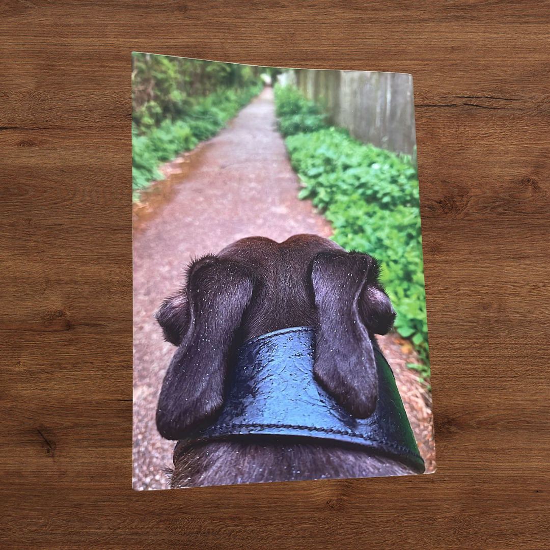 Poetry Book – Inspired by Finn - Image 2