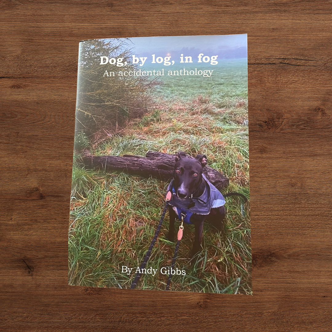 Poetry Book – Inspired by Finn