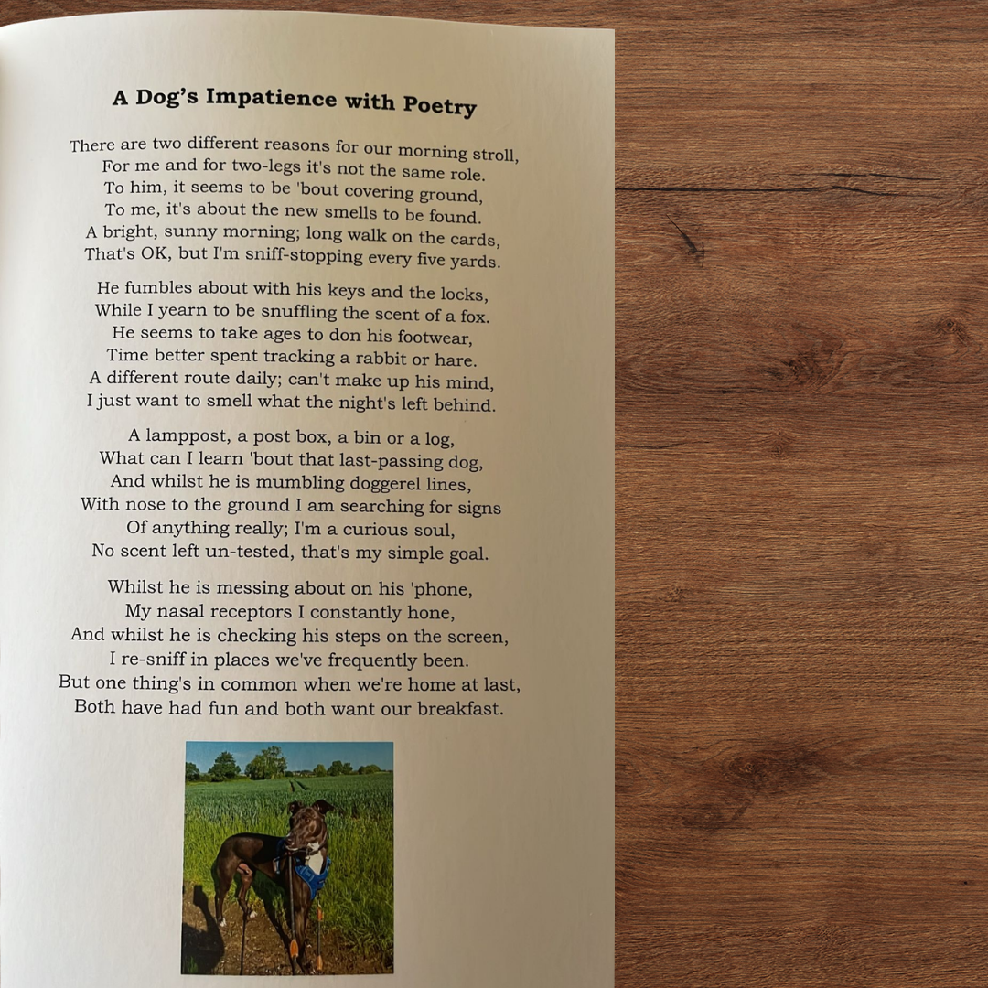Poetry Book – Inspired by Finn - Image 3