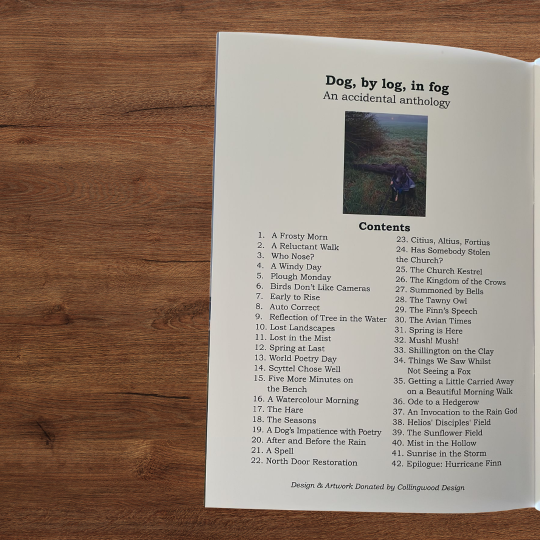 Poetry Book – Inspired by Finn - Image 4