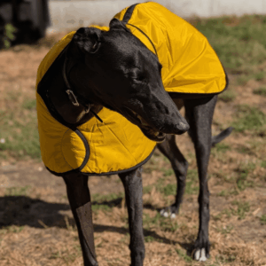 Winter Coats - Reduced